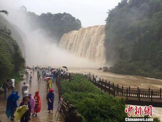 60余名臺(tái)商雨中觀黃果樹瀑布 看好貴州旅游發(fā)展前景