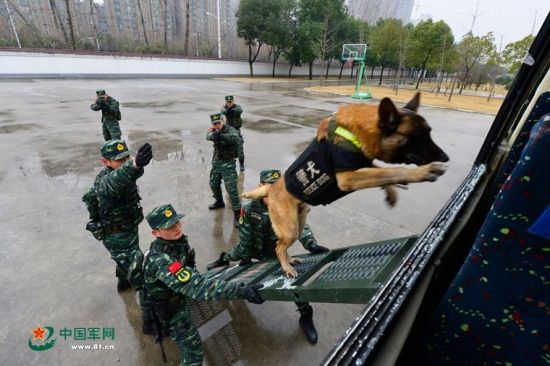 安徽武警備戰(zhàn)春運(yùn)出動(dòng)無(wú)人機(jī) 警犬搶鏡