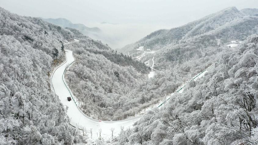 湖北?？惮F(xiàn)森林霧凇景觀 如水墨畫(huà)卷